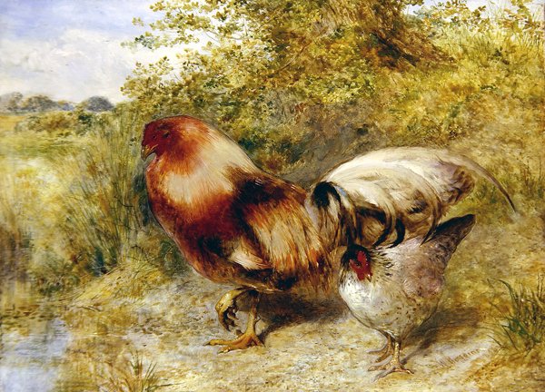 Pluimvee in een landschap door William Huggins