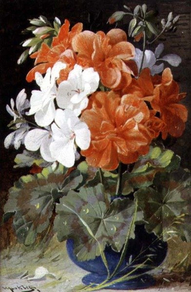 Pelargoniums door William Jabez Muckley
