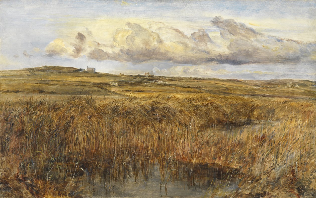 Rhoscolyn, Anglesey door William Joseph J.C. Bond