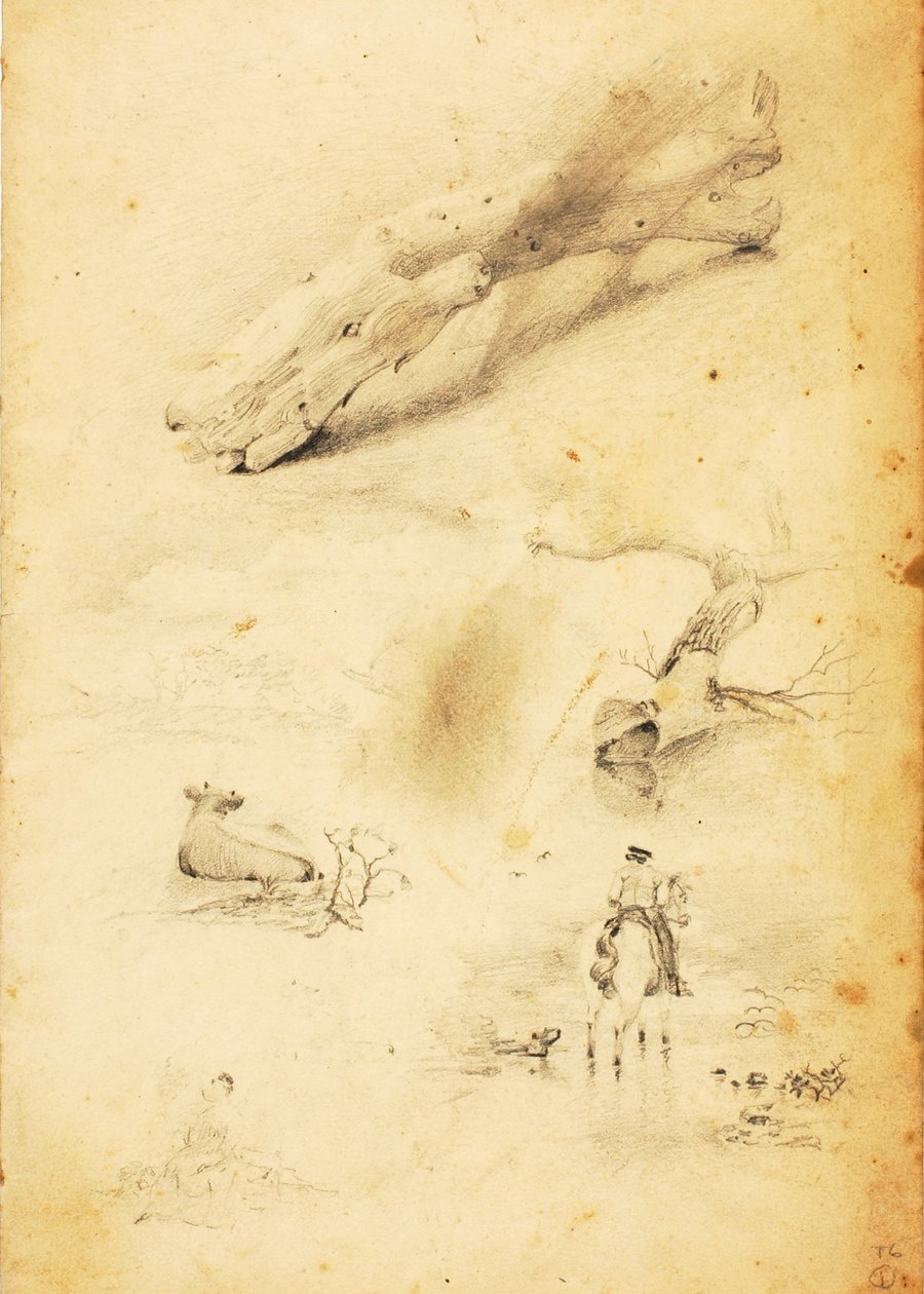 (Studies - figuren, boomstammen, paard en ruiter, etc.) door William Page