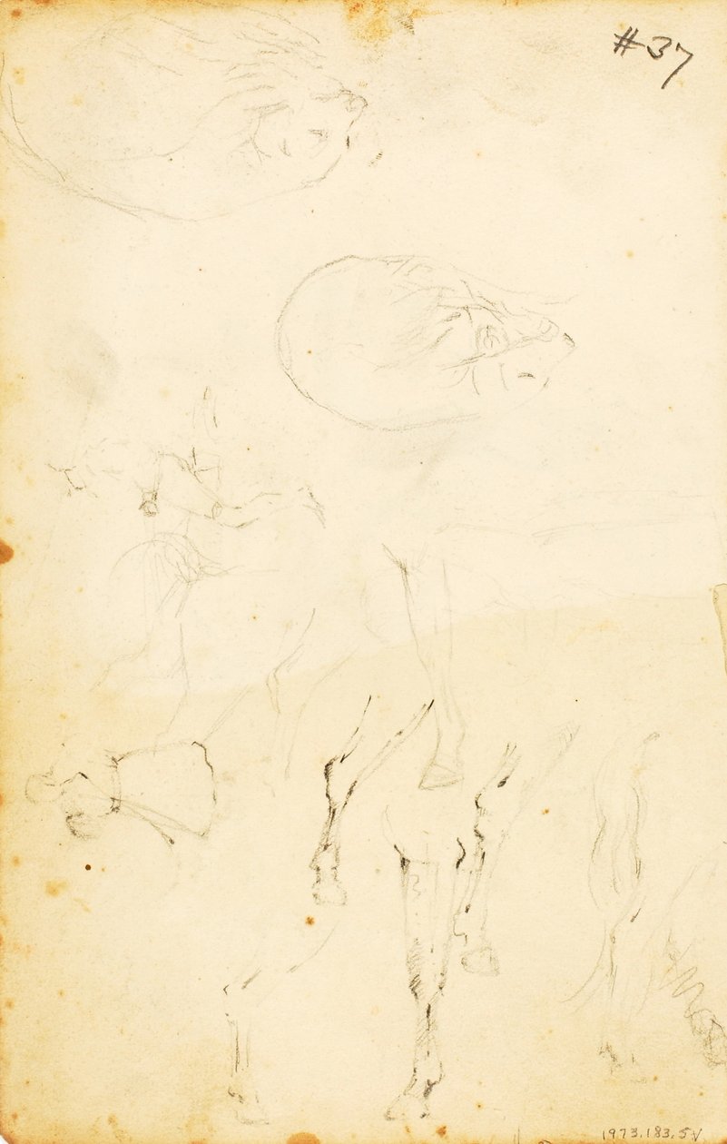 (Studies - figuren, boomstammen, paard en ruiter, etc.) door William Page