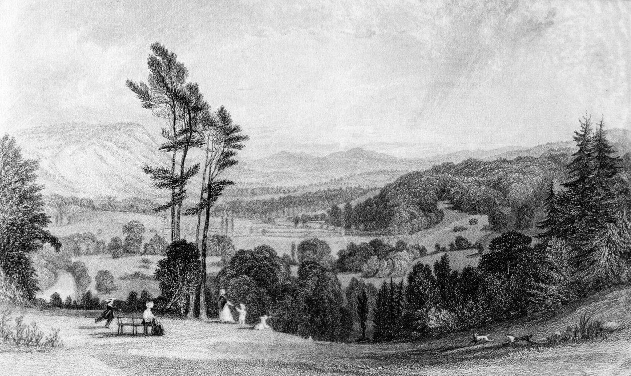 Uitzicht vanaf Norbury, Surrey, 19e eeuw door William Radclyffe