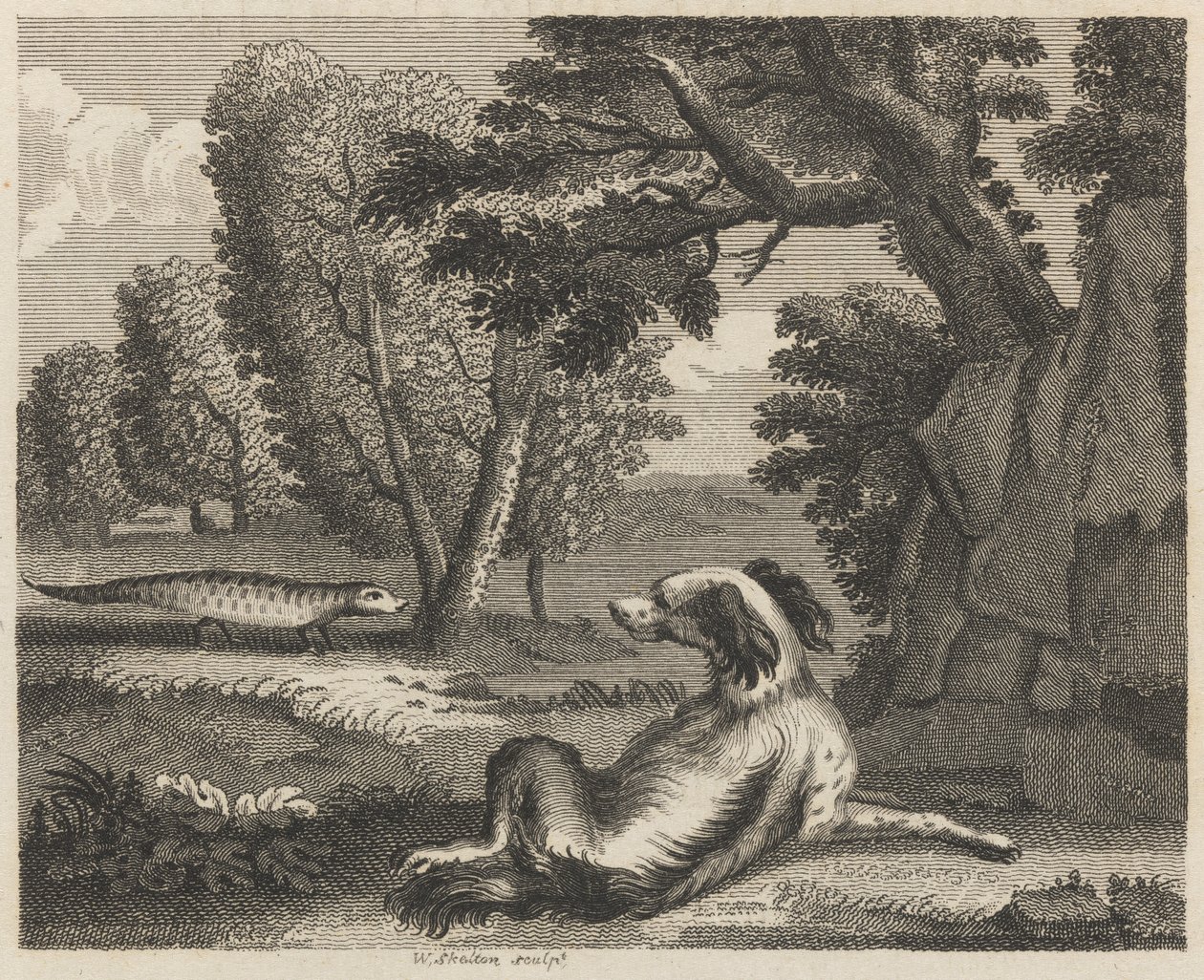 De Spaniël en de Kameleon door William Skelton
