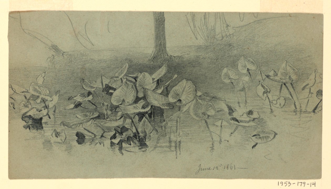 Studie van Bladeren door William Trost Richards