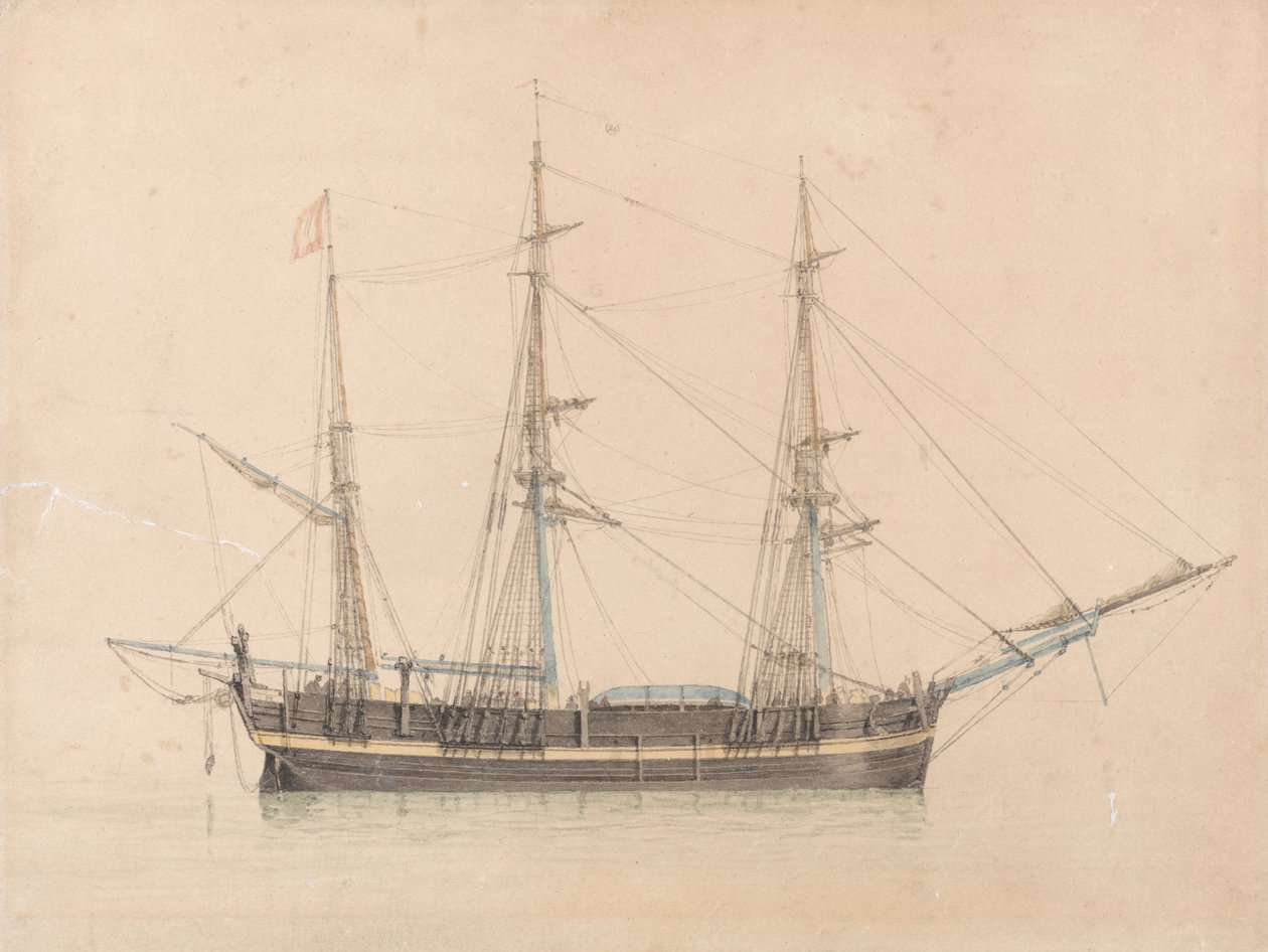 De Walvisvaarder "Truelove" van Hull door William Ward