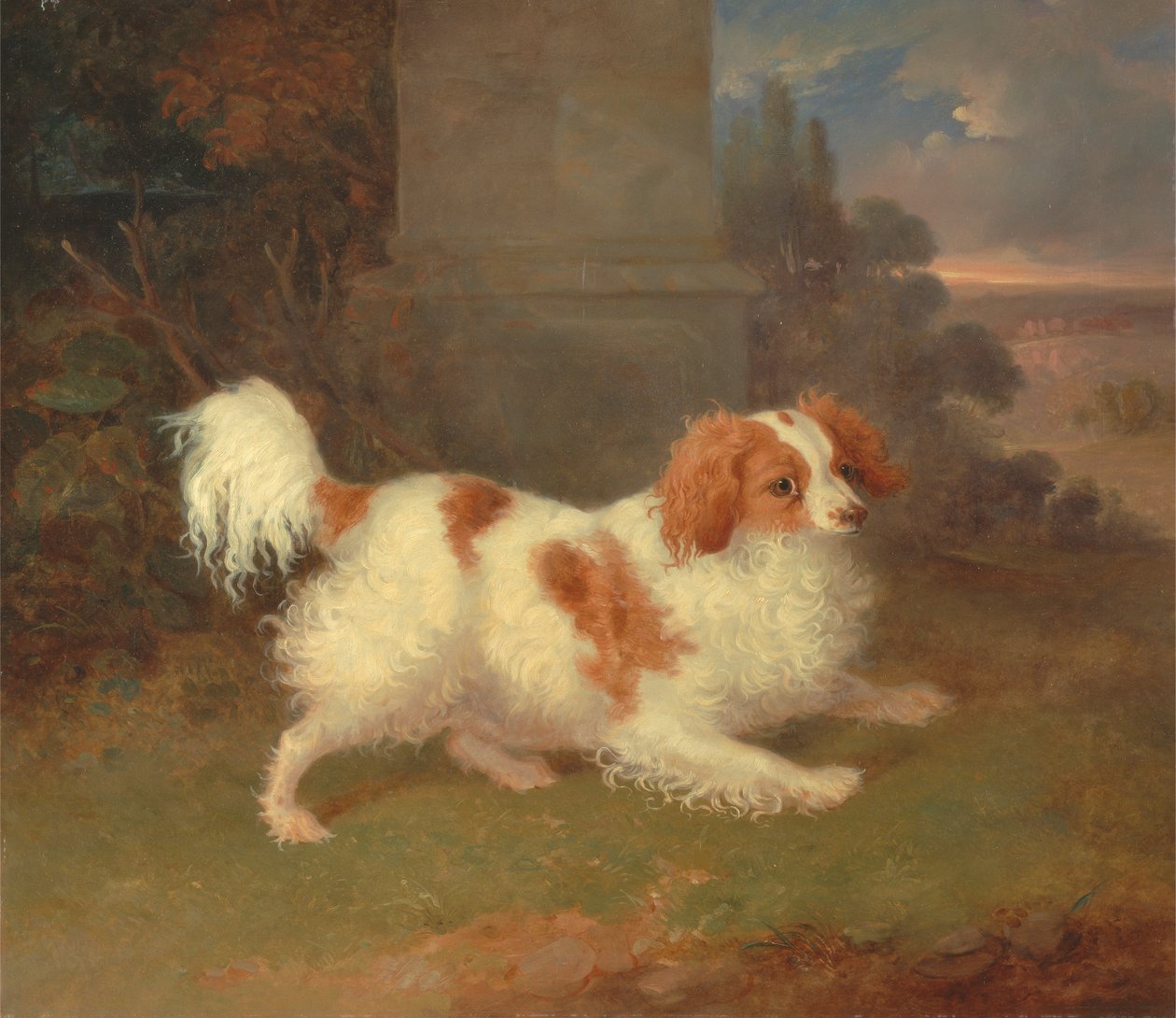 Een Blenheim Spaniël door William Webb