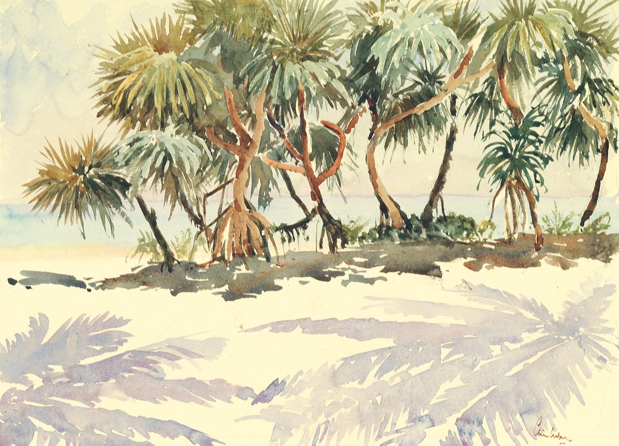 735 Stro bomen, Bentota door Wilson Clive