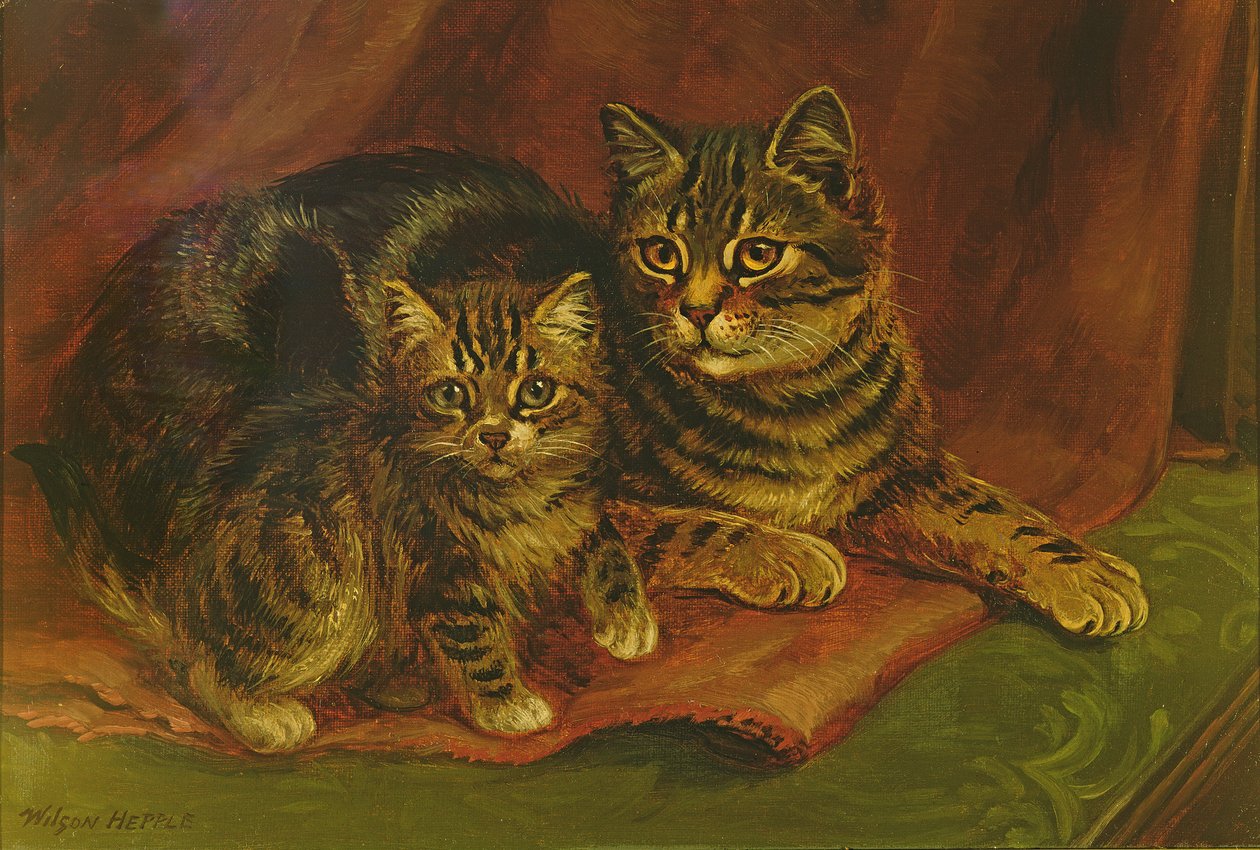 Een cyperse kat met een kitten door Wilson Hepple
