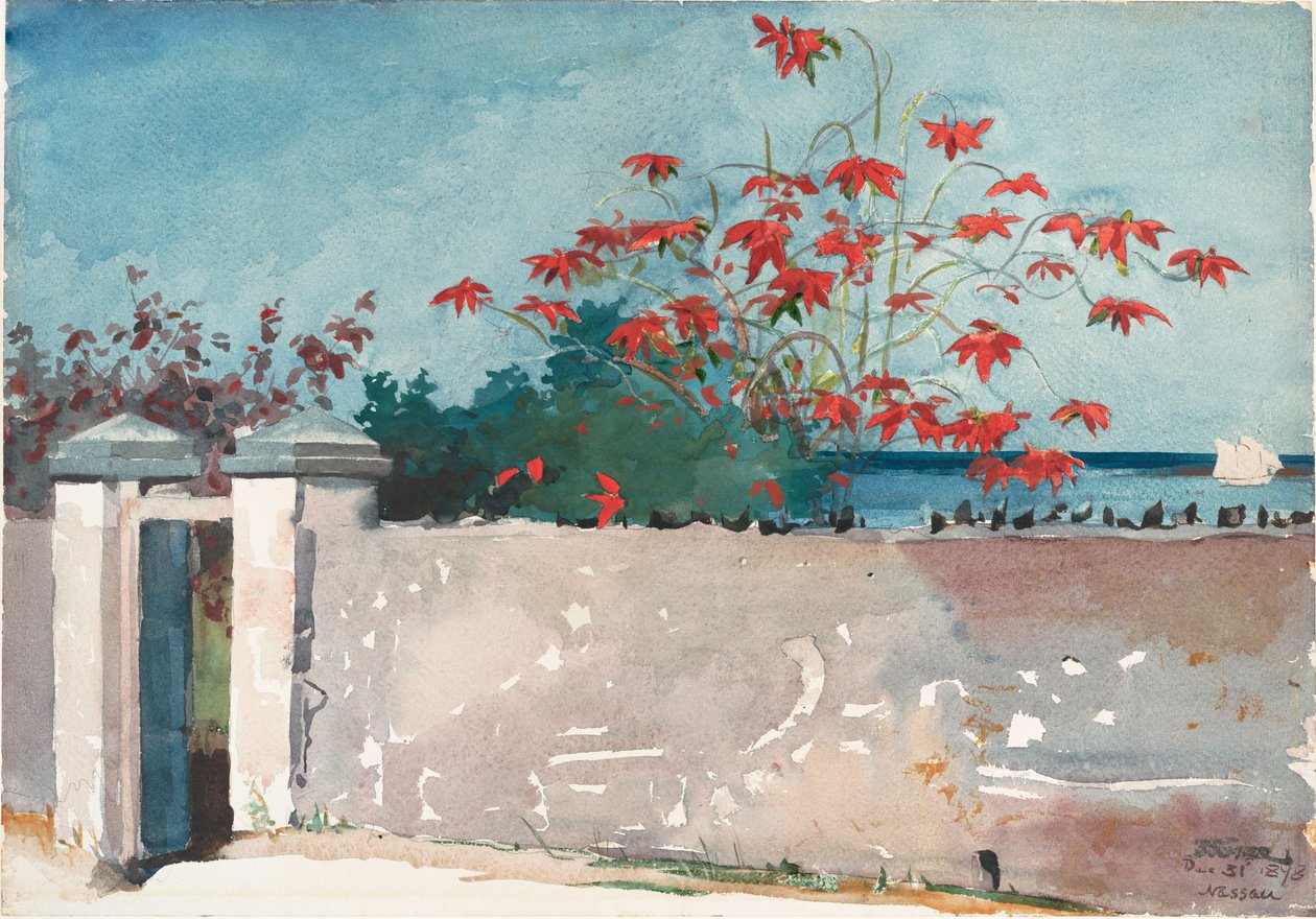 Een muur, Nassau door Winslow Homer
