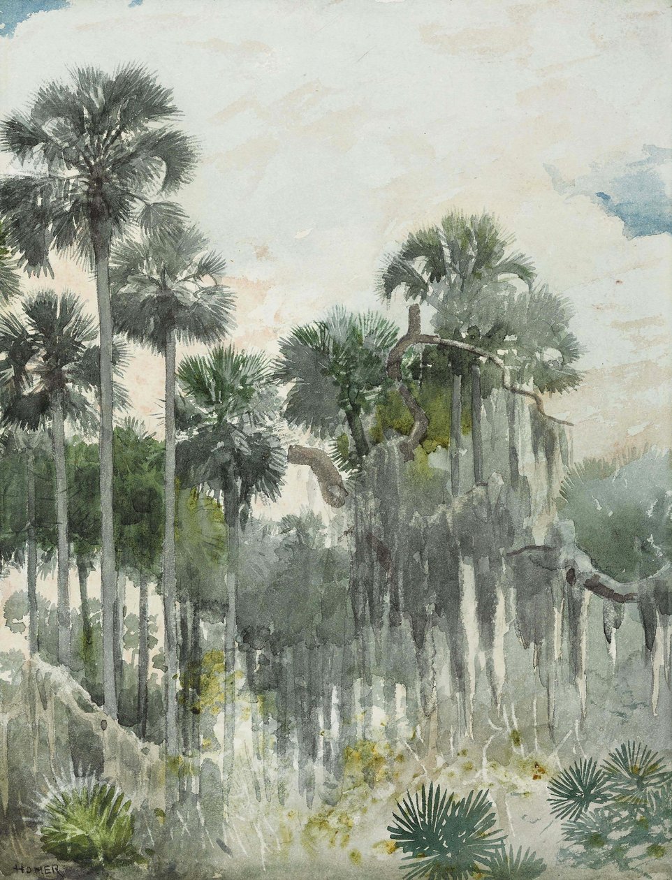 Florida Jungle door Winslow Homer