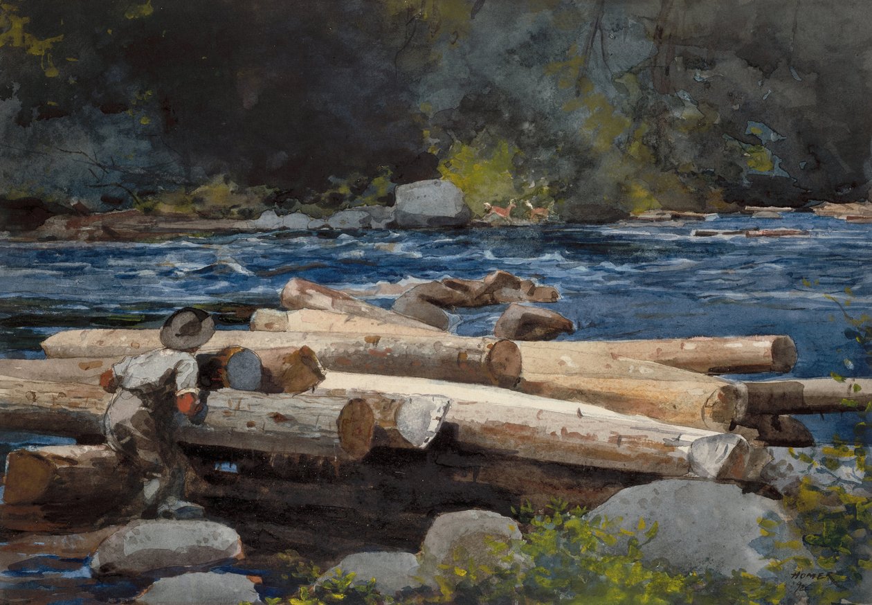 Hudson Rivier door Winslow Homer