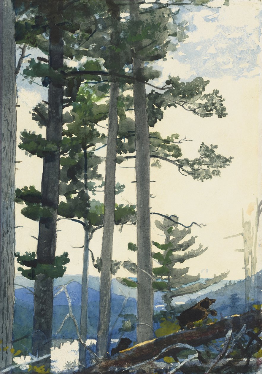 Oude Kolonisten door Winslow Homer