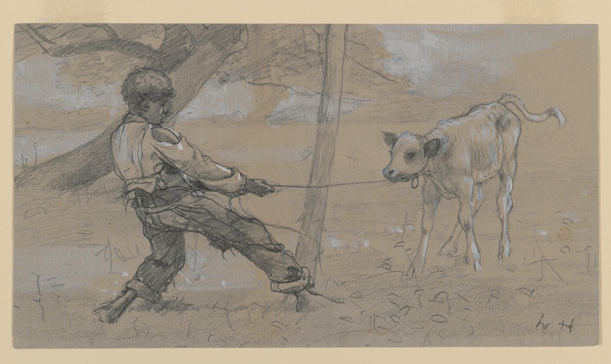 Het Onhandelbare Kalf door Winslow Homer