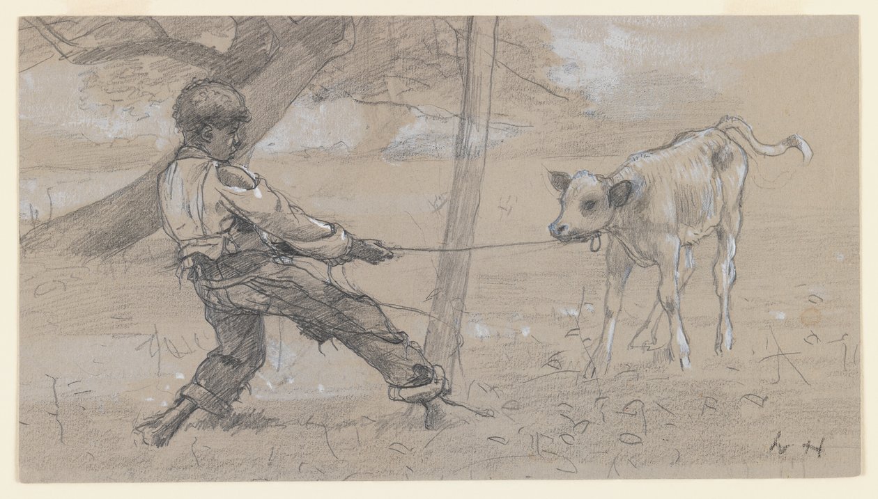 Het onhandelbare kalf door Winslow Homer