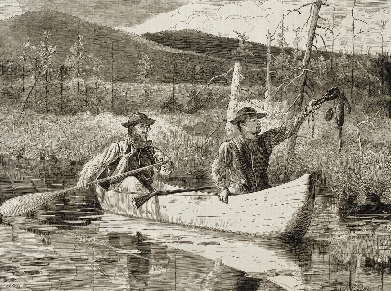 Vallen in de Adirondacks door Winslow Homer