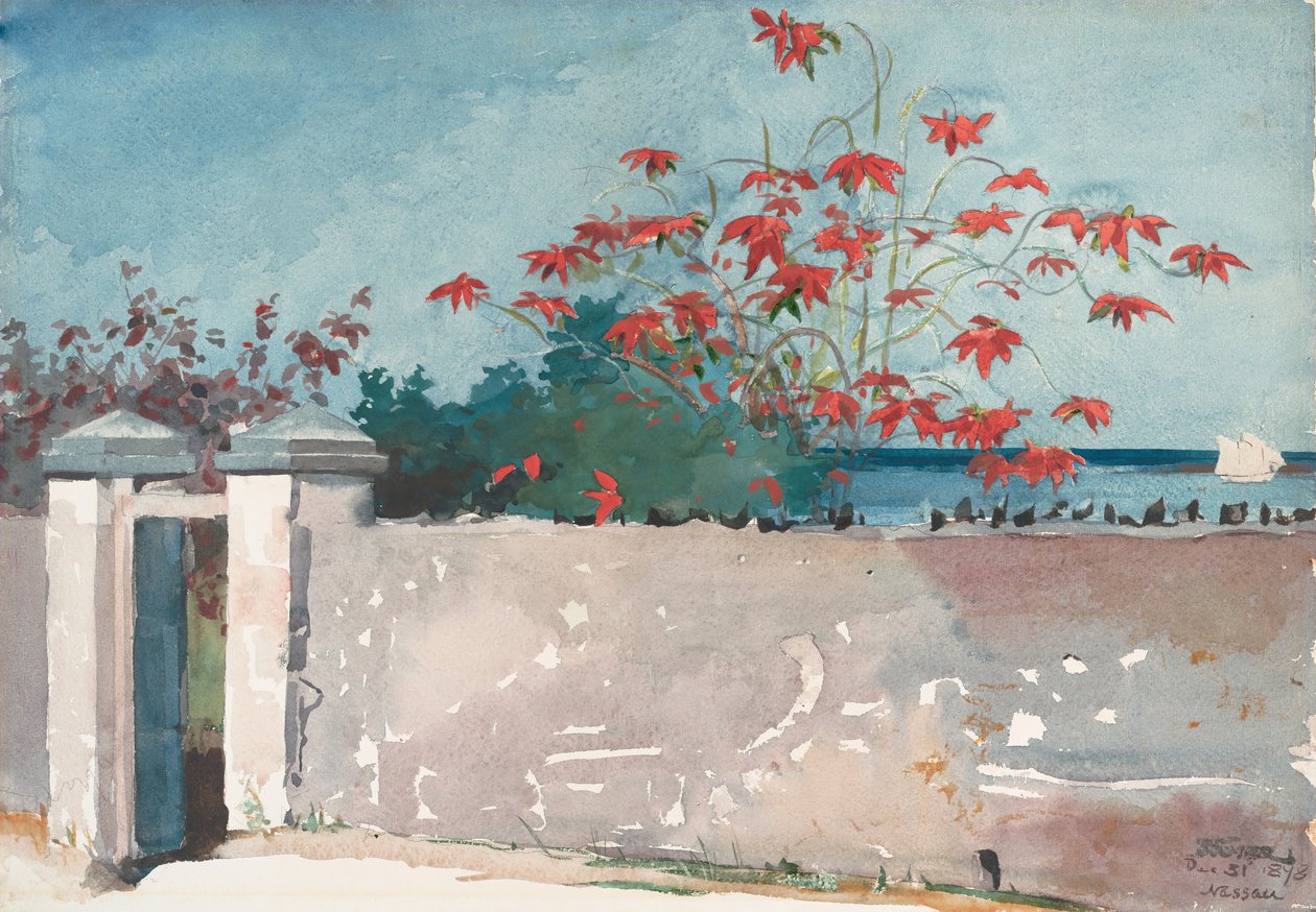 Een muur, Nassau, 1898 door Winslow Homer