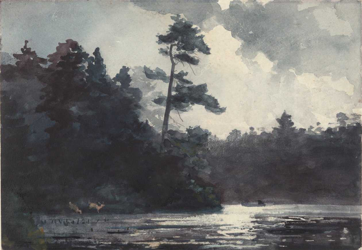 Adirondackmeer door Winslow Homer