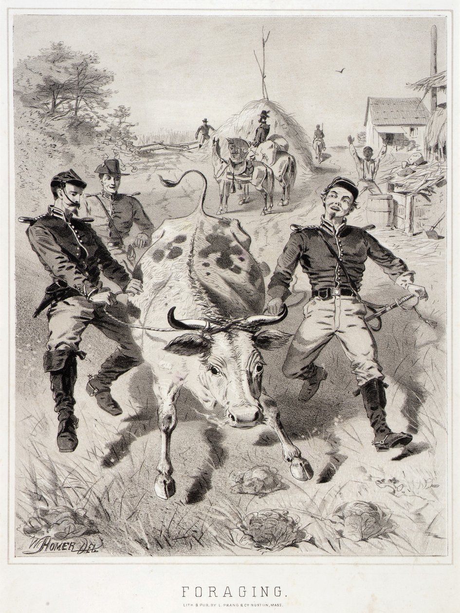 Campagne Schetsen: Foerageren door Winslow Homer