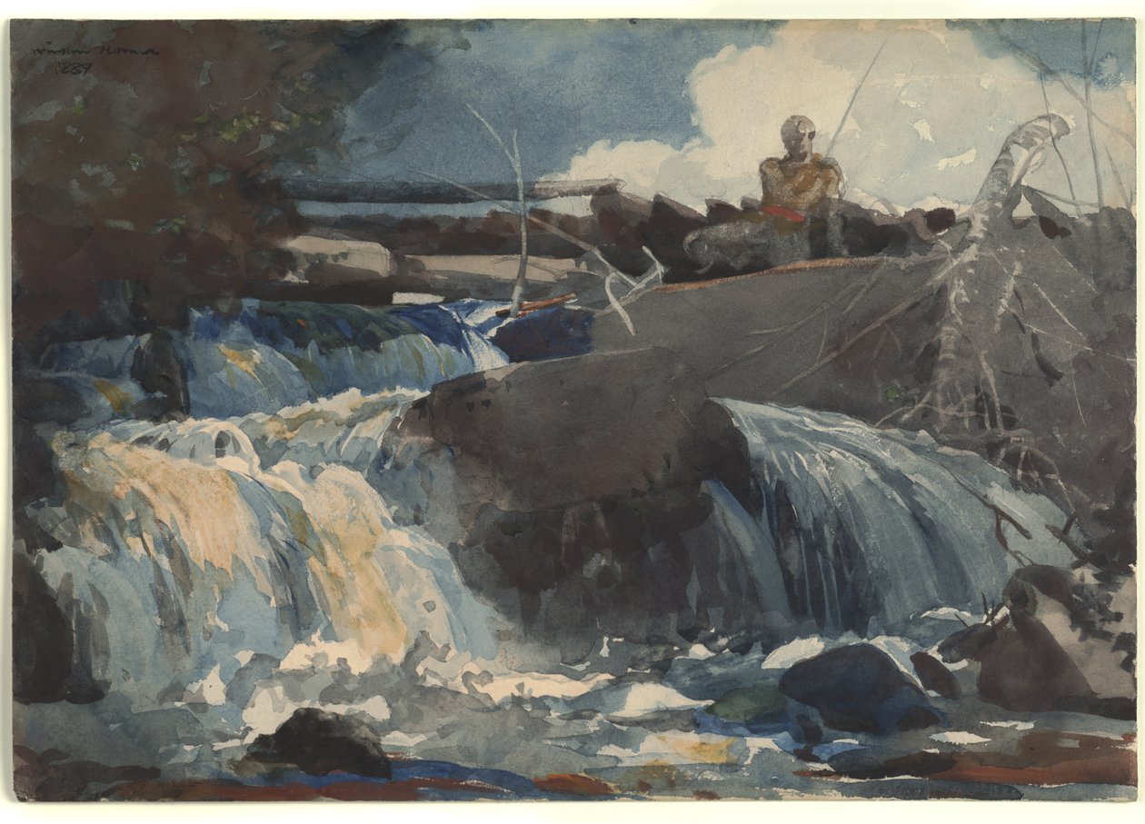 Vissen in de Watervallen door Winslow Homer