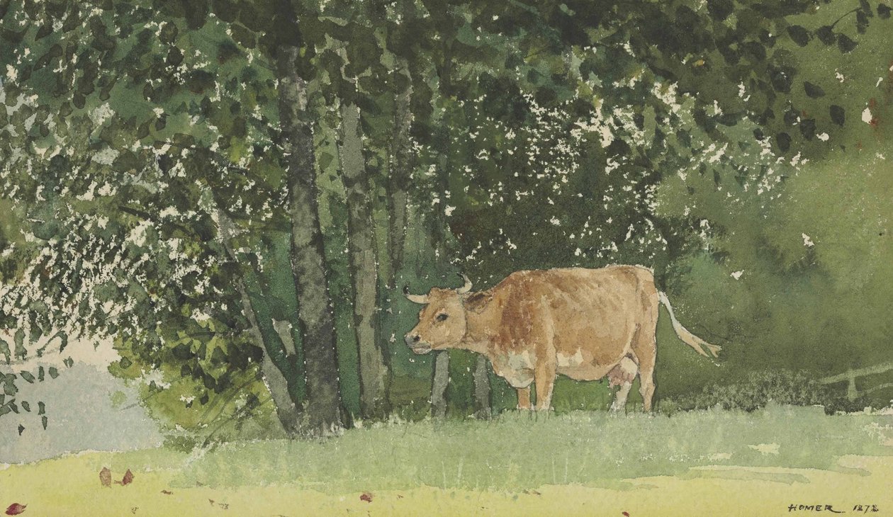 Koe in de wei door Winslow Homer