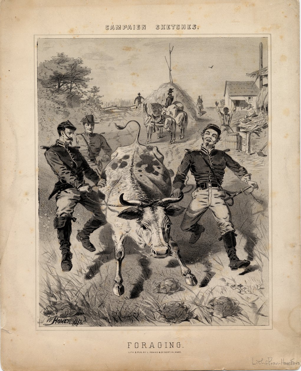 Foerageren, illustratie uit 