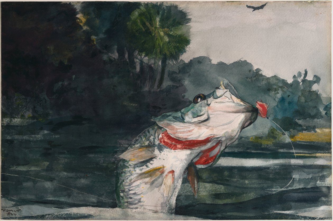 Levensgrote zwarte baars door Winslow Homer