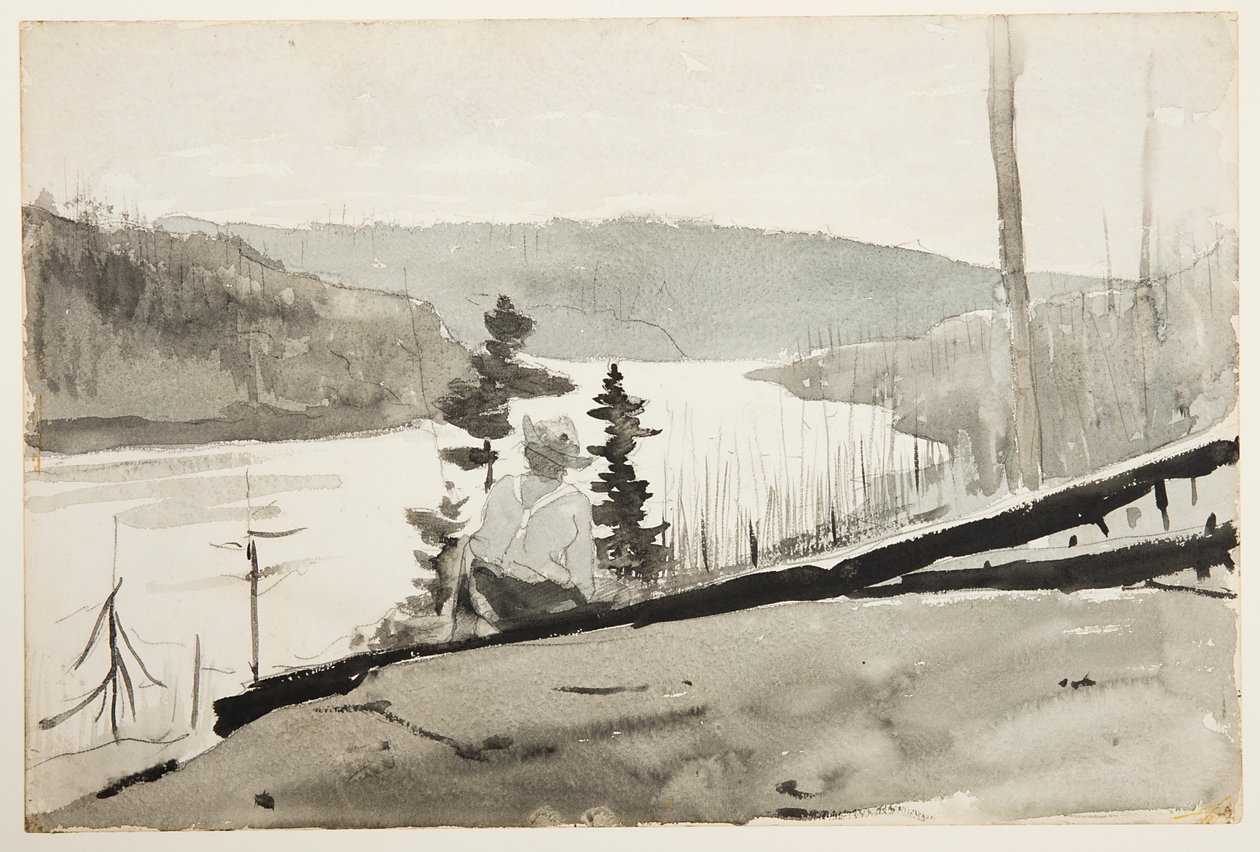 Berg Rivier of Meer door Winslow Homer