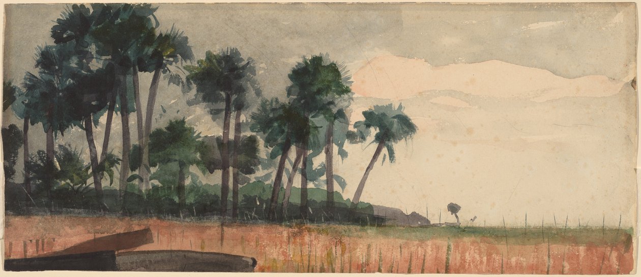 Palmbomen, Rood door Winslow Homer