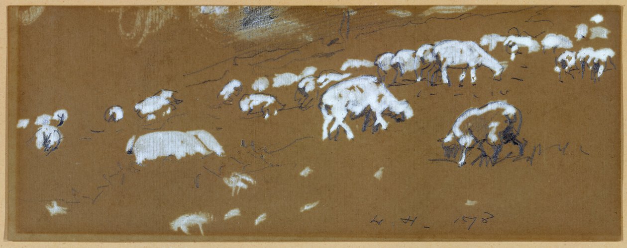 Schapen, 1878 door Winslow Homer