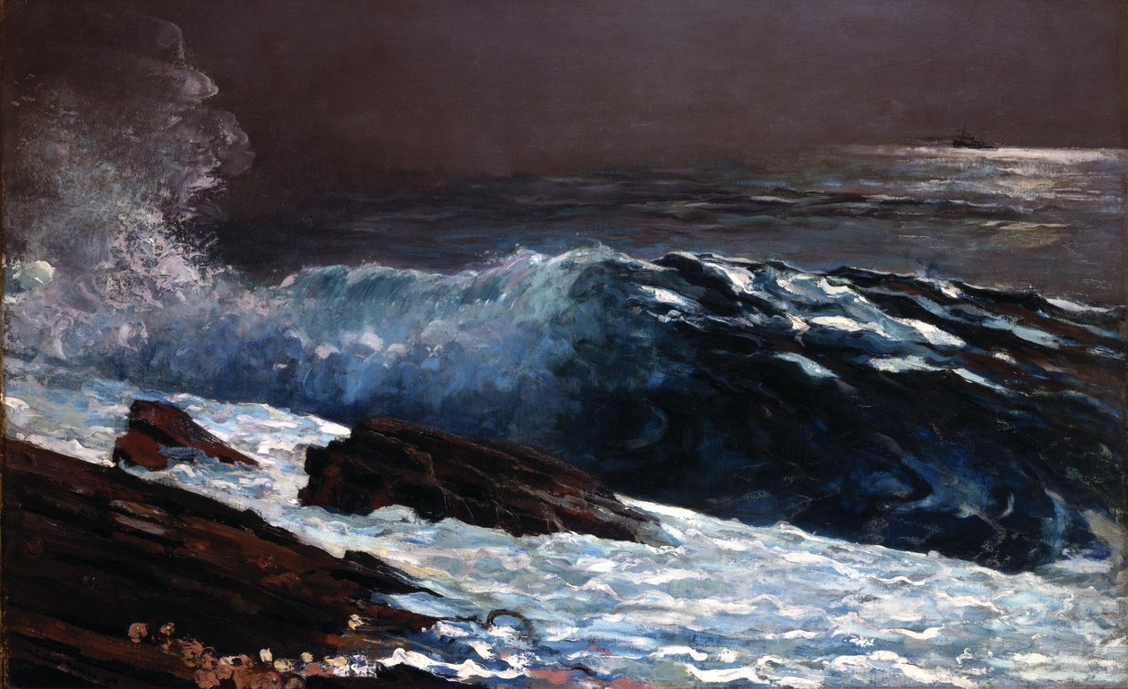 Zonlicht aan de kust door Winslow Homer