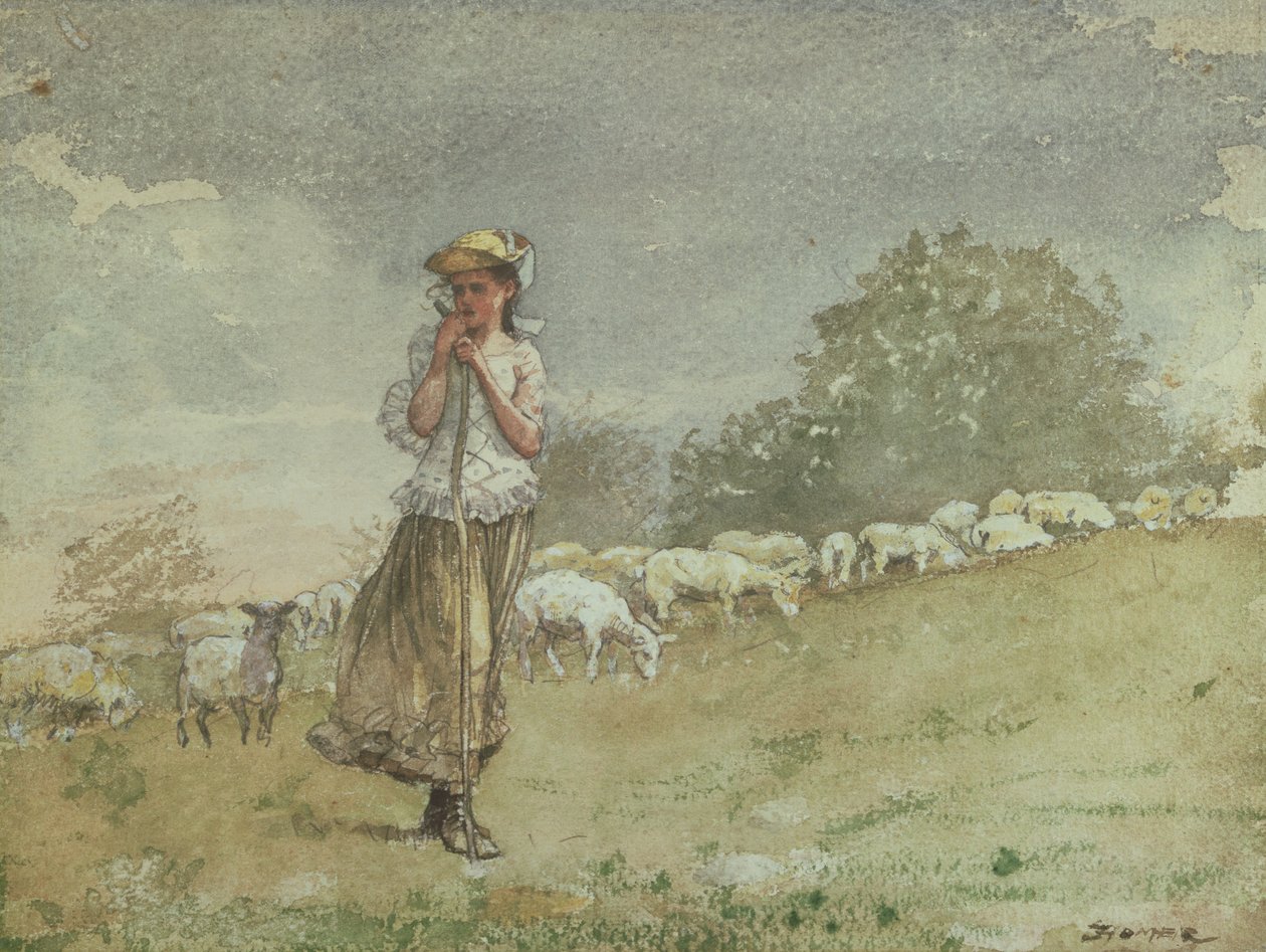 Schapen hoeden, Houghton Farm, c.1878-79 door Winslow Homer
