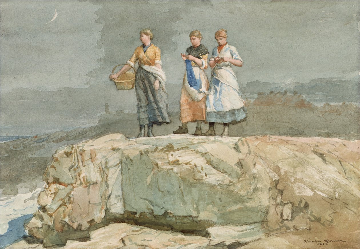 De Kliffen door Winslow Homer