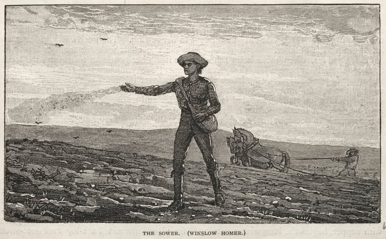 De zaaier door Winslow Homer