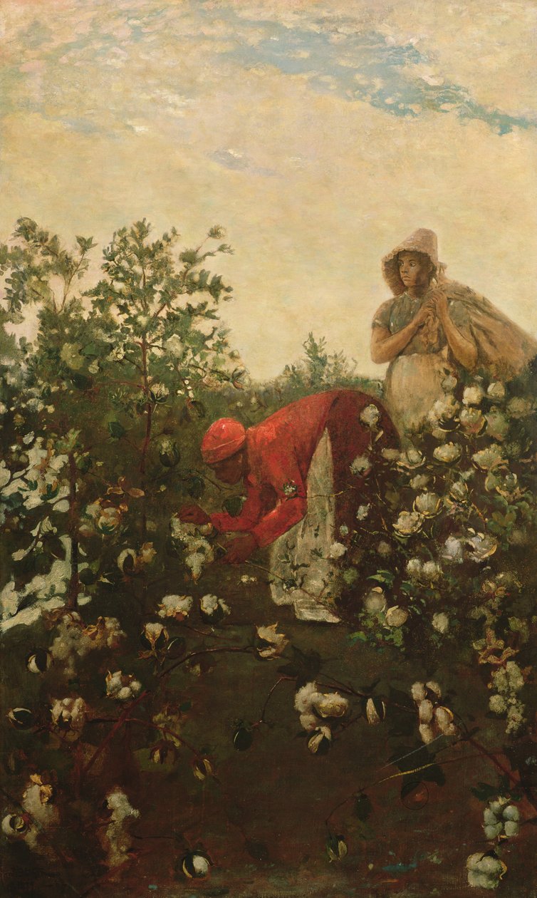 Hoogland Katoen, 1875 door Winslow Homer