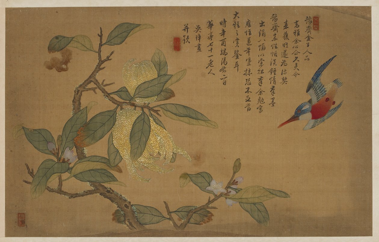 Vogel, Fruit en Bloemen, Qing-dynastie, 1741 door Wu Zhang