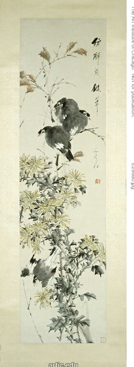 Kuif Myna Vogels en chrysanten door Xugu