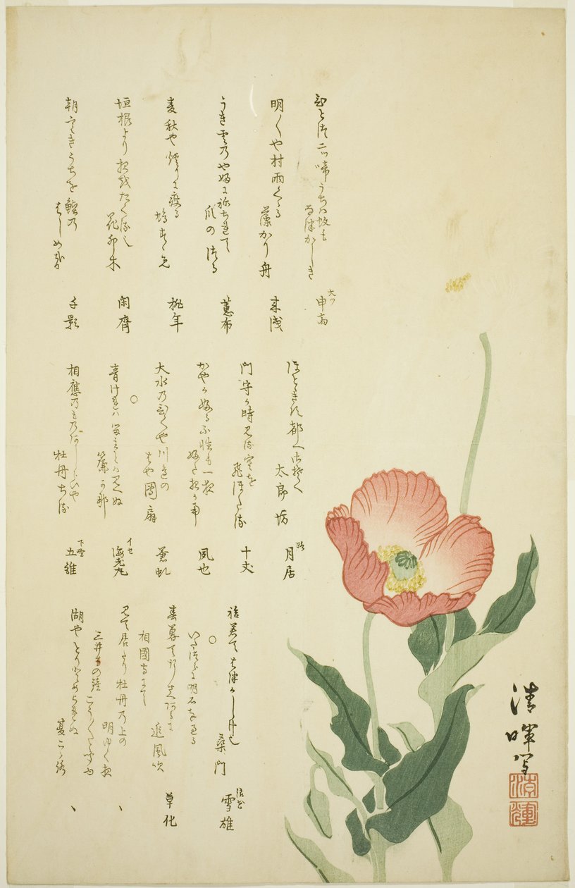 Twee klaprozen door Yokoyama Seiki