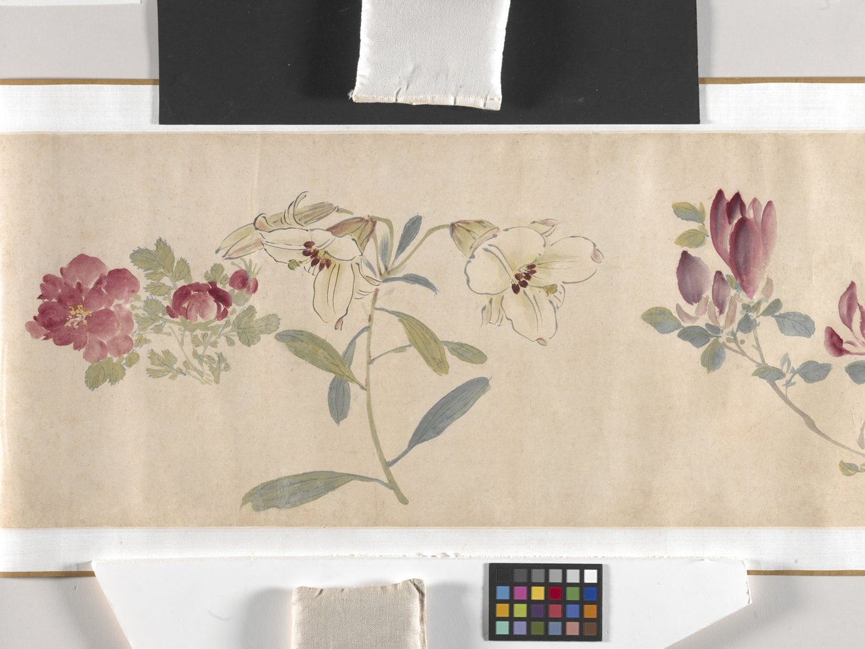 Gekleurde Bloemen door Zhimian Zhou