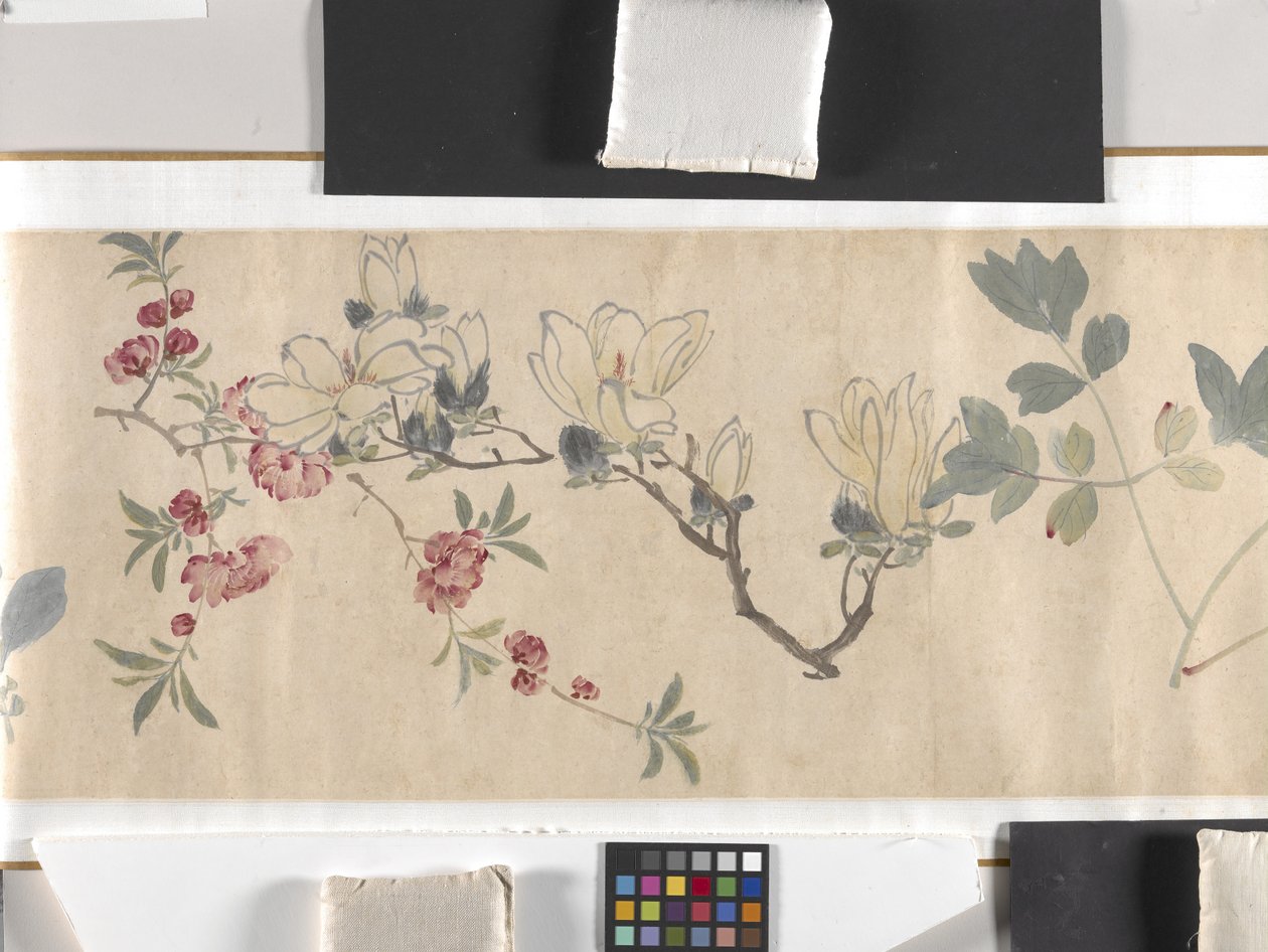 Gekleurde bloemen door Zhimian Zhou