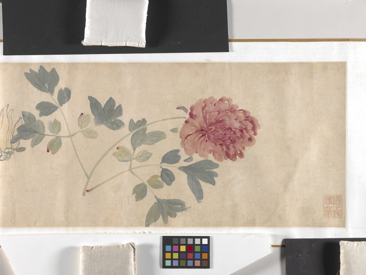 Gekleurde bloemen door Zhimian Zhou