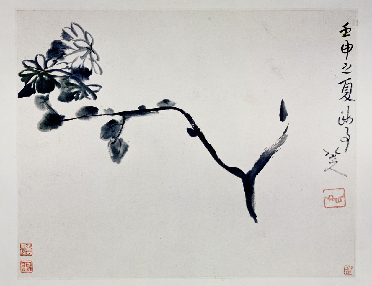 Chrysant, 1692 door Zhu Da