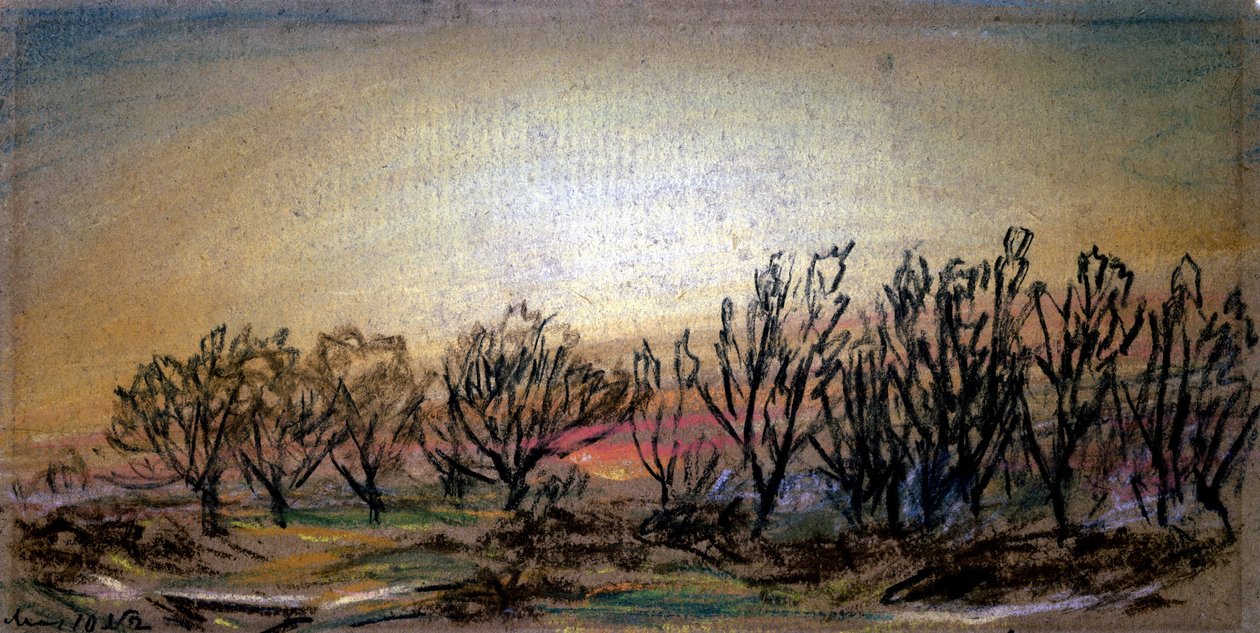 Naschijnsel na zonsondergang door Frederick (attr. to) Barnard