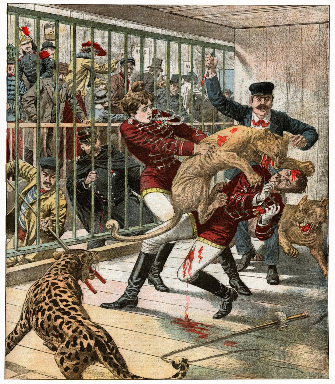 Dood van een grote kattentrainer door . .