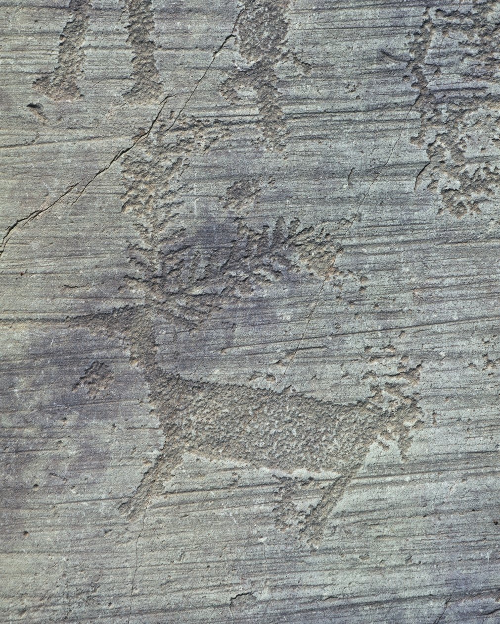 Camonica vallei, rotsgravures door Isabel Redie