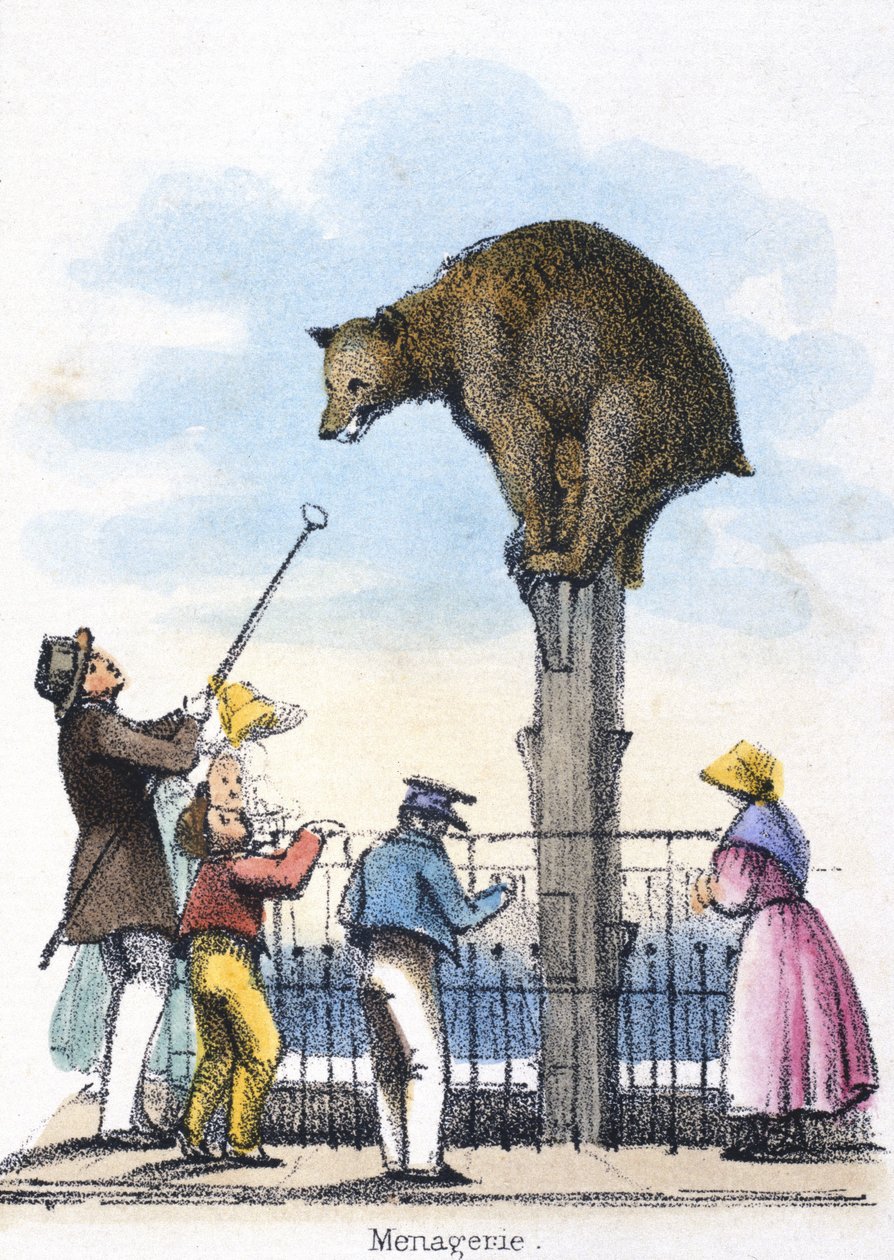 Menagerie, c 1845 door Frederick (attr. to) Barnard