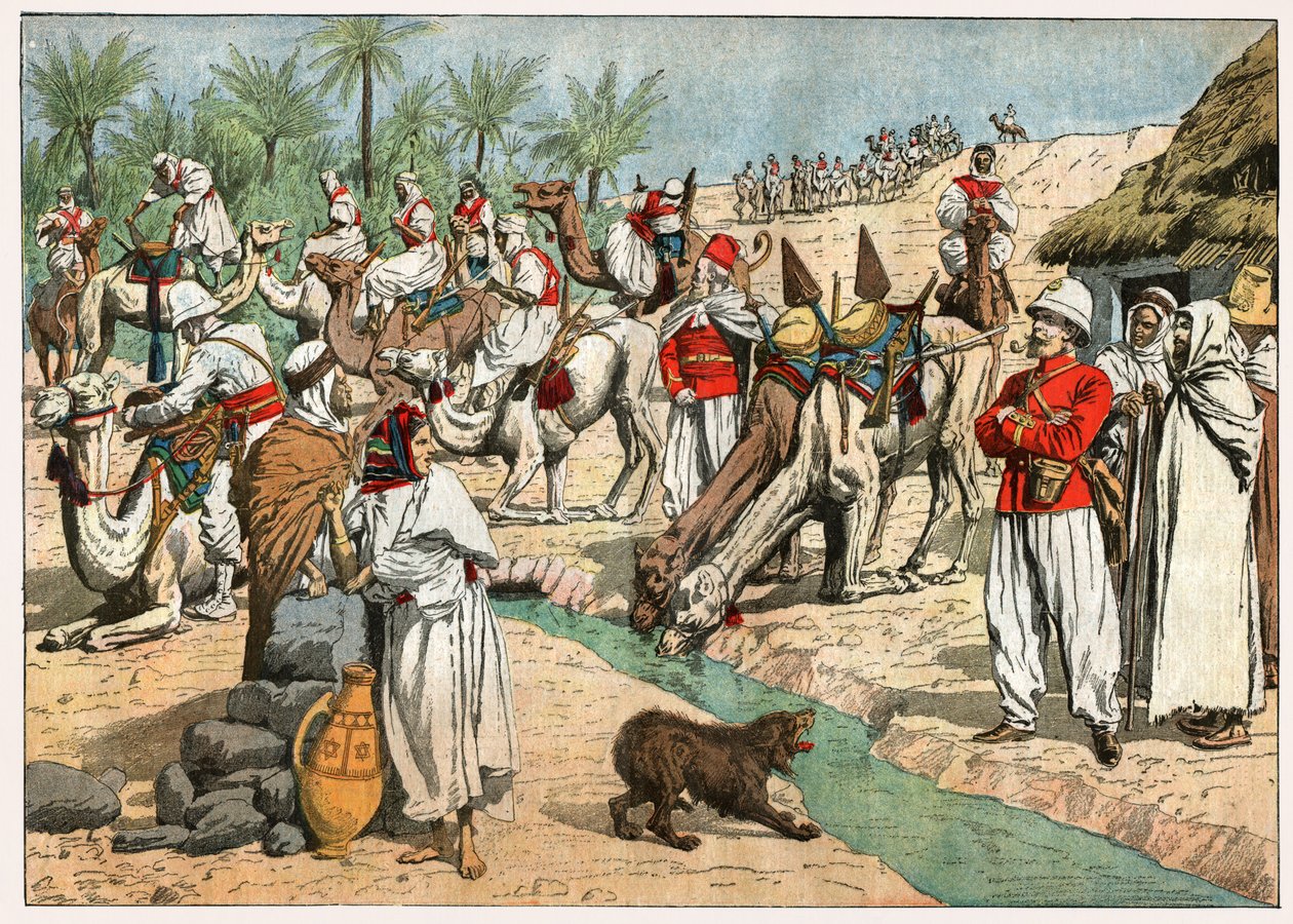 Oase in de Sahara door . .