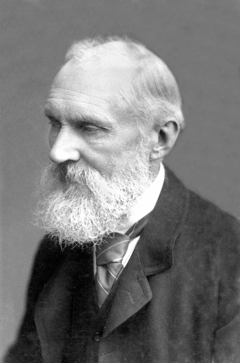 Verenigd Koninkrijk: William Thomson Kelvin door Frederick (attr. to) Barnard