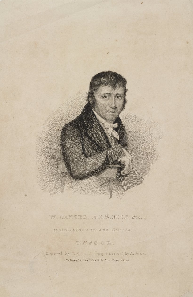 William Baxter, ALS FHS, Britse botanicus, ca. 1820s door Frederick (attr. to) Barnard