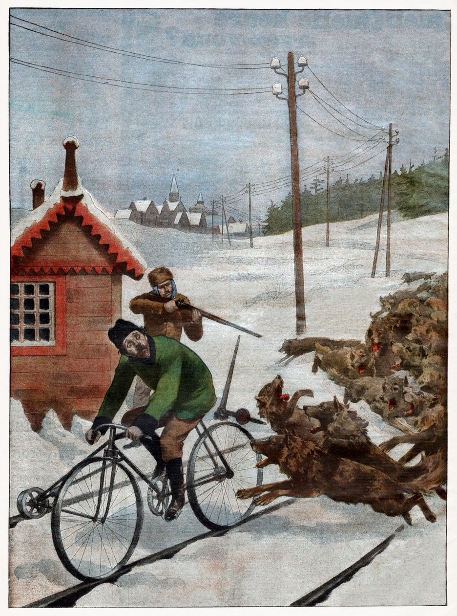 Aanval van een wolf door . .