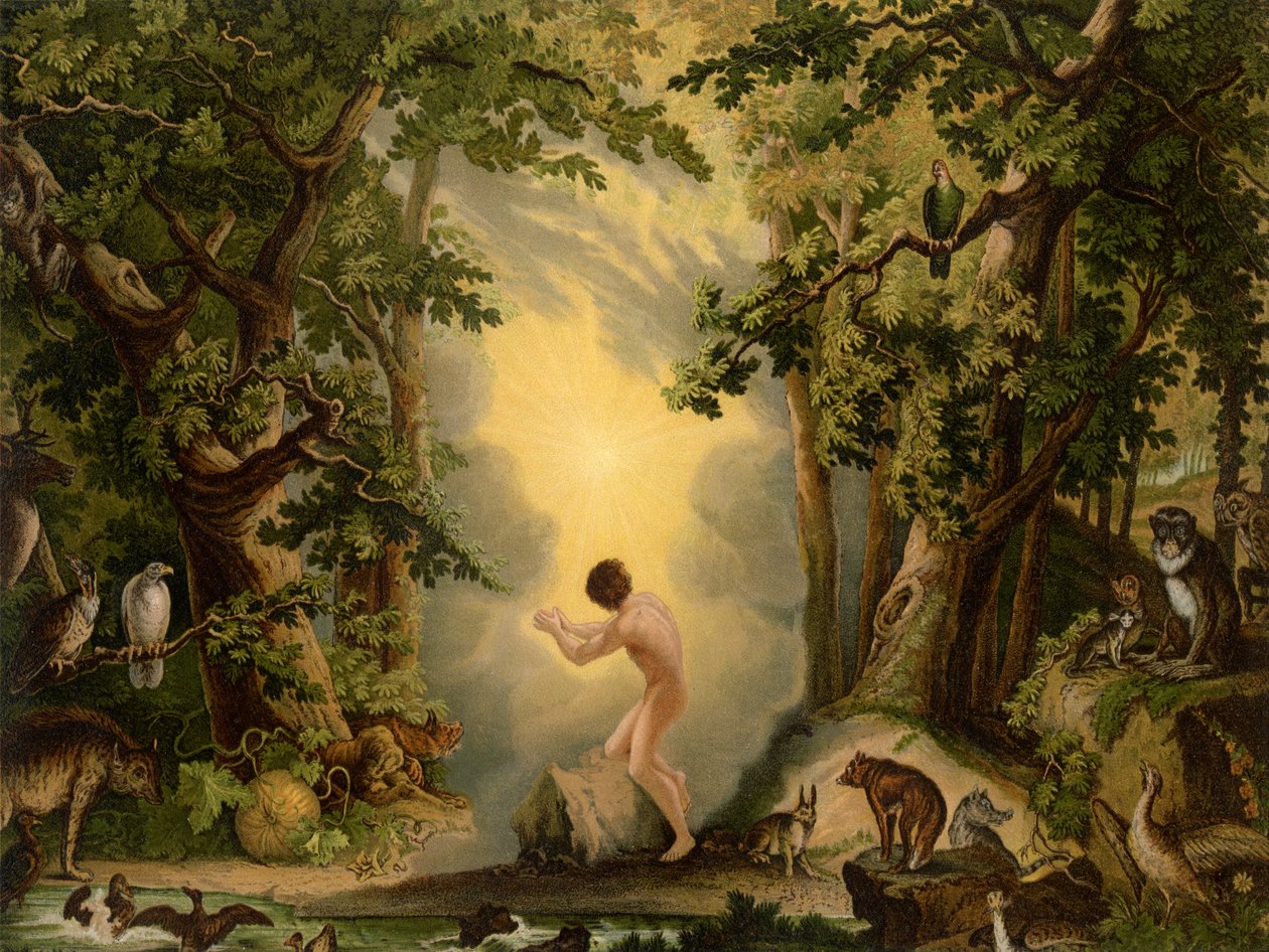 De Schepping van Adam door Johann Elias Ridinger or Riedinger